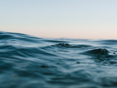 matt-hardy-6ArTTluciuA-unsplash (1)